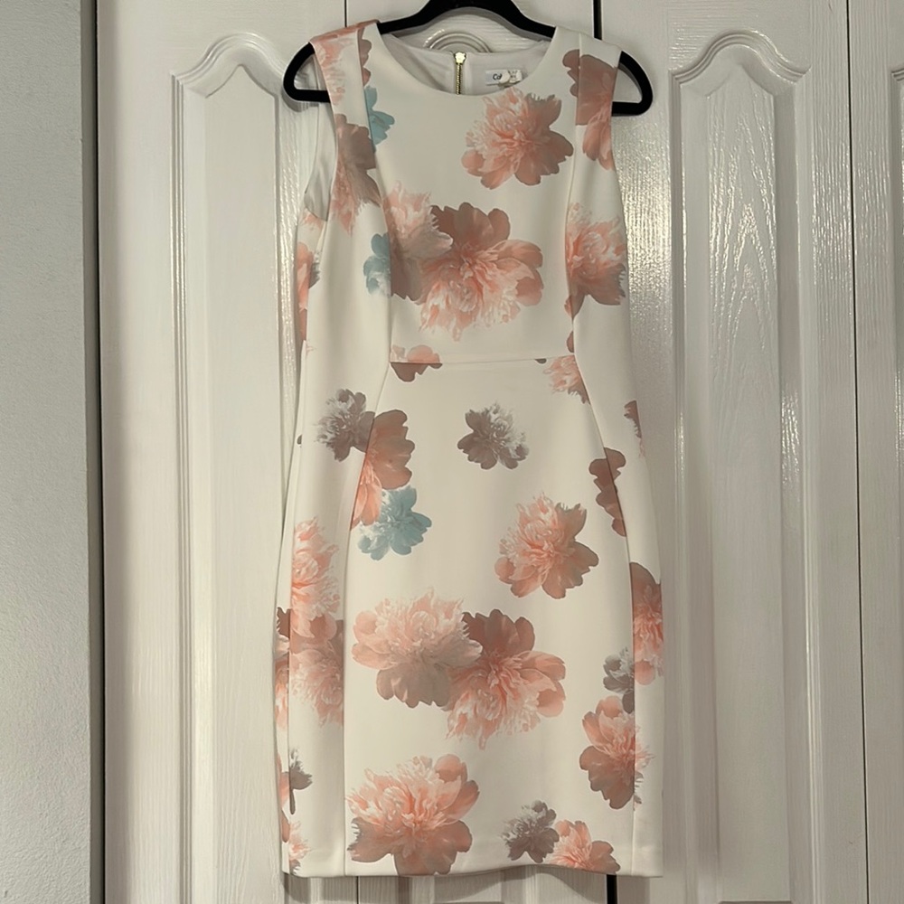 Calvin Klein Floral Sleeveless Dress